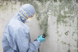 Trusted Matawan, NJ Mold Remediation Experts